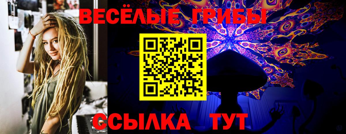 Сердобск  Псилоцибиновые грибы Psilocybe  Вход с VPN  Галлюциногенные грибы прущие грибы 